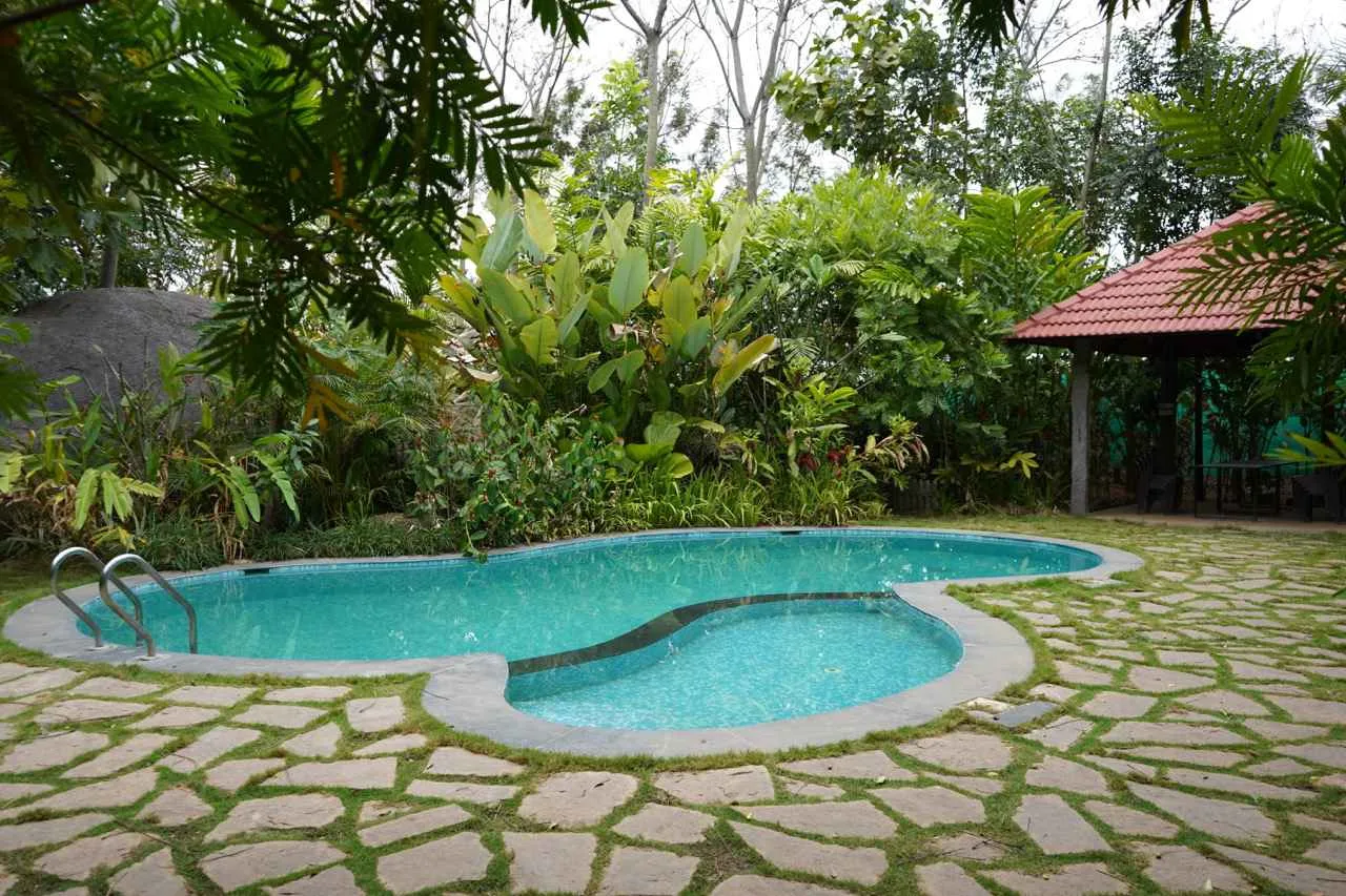 24hr sand-filtered pool at Virama Farm Stay near Bangalore, Magadi Taluk Karnataka