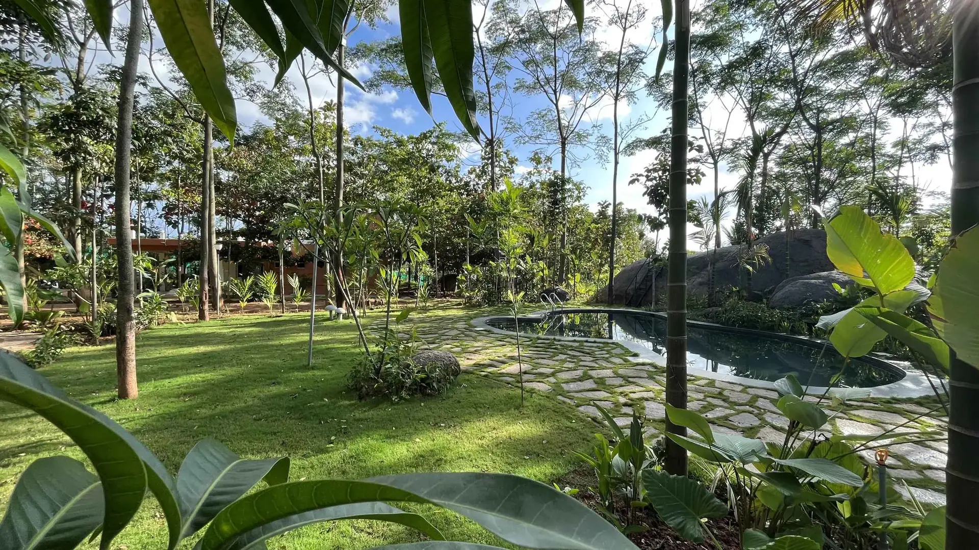 Open farm grounds with pool view at Virama Farm Stay near Bangalore — 4,000 trees on 3 acres